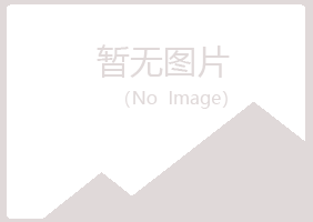 日照岚山喧哗音乐有限公司